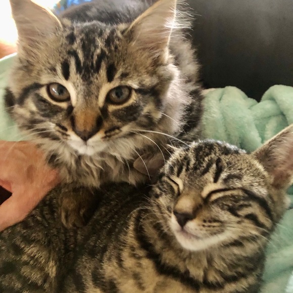 ♥️ - Picture 5 of 7